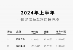 銷冠比亞迪，“不要利潤”